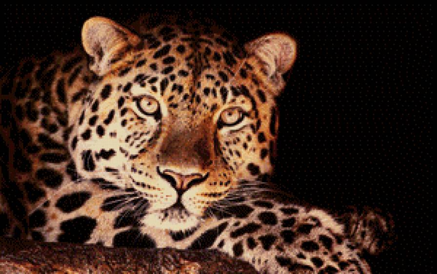 Леопард - дикие кошки, животные - предпросмотр
