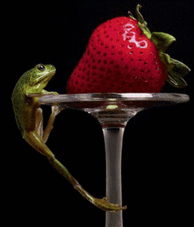 Лягушка - на черном - предпросмотр