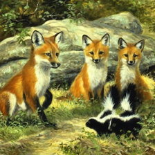 Схема вышивки «Лисята и скунсики.»