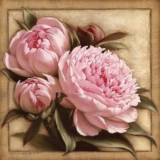 Схема вышивки «пионы»