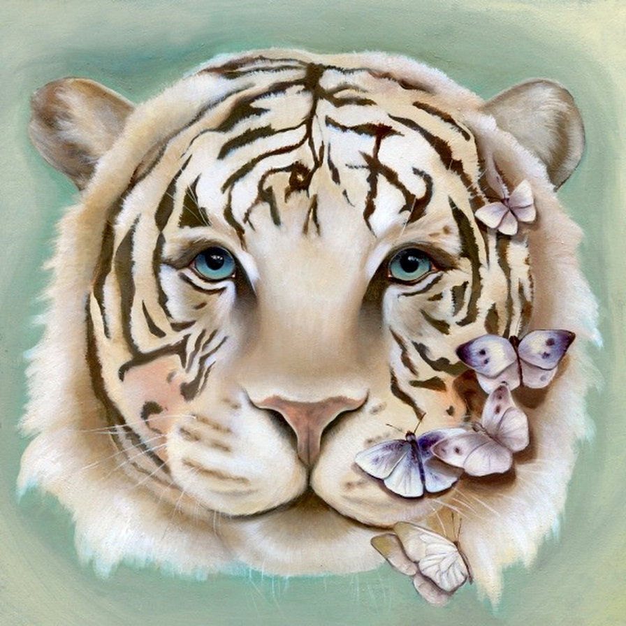 белый тигр - живопись, хищник, взгляд, бабочка - оригинал
