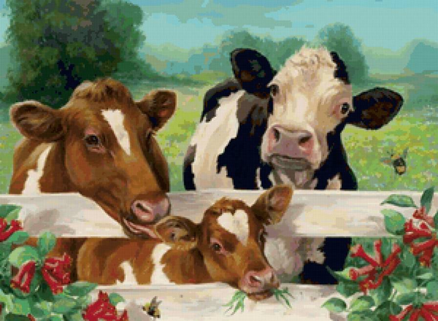 корова - оригинал