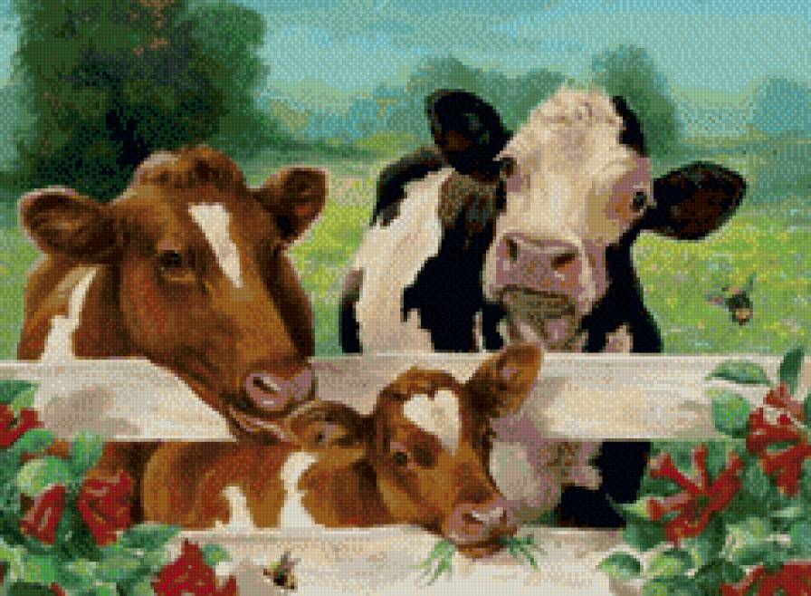 корова - предпросмотр