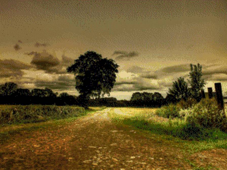 Дорога - пейзаж, деревья, дорога, лето, утро, природа - предпросмотр