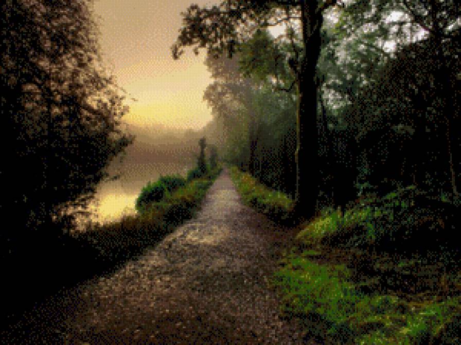 Дорога в лесу - лес, лесная дорога, пейзаж, лето, дорога, природа - предпросмотр