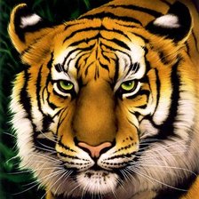 Схема вышивки «№473679»