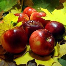 Схема вышивки «№473863»