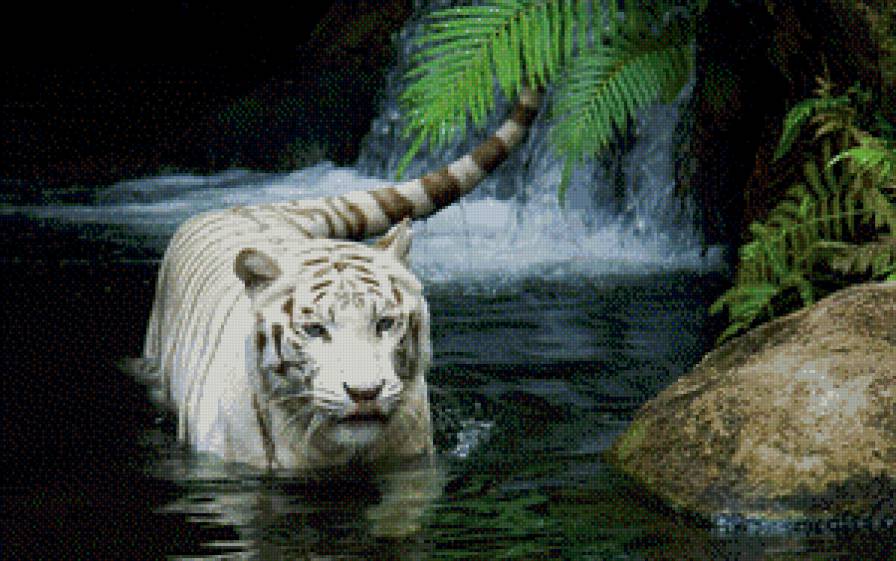 тигр - тигр, животные, тигры, водопад, природа, кошки - предпросмотр