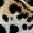 Предпросмотр схемы вышивки «гепард» (№474221)