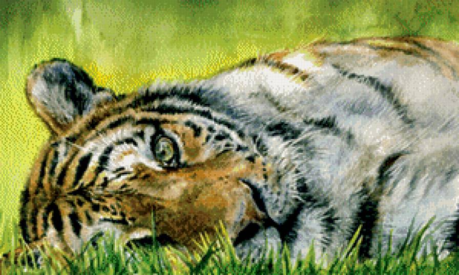 тигр - взгляд, живопись, хищник - предпросмотр