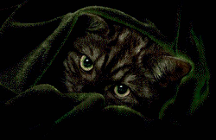 зеленый бархат - глаза, взгляд, кошка, кот - предпросмотр