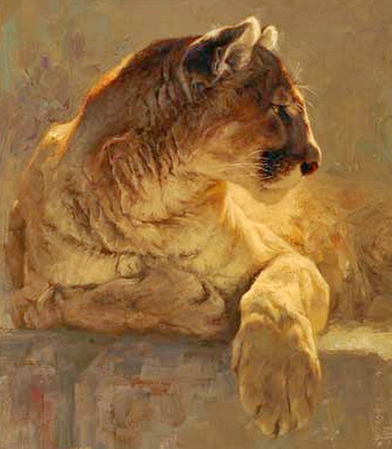 пума - живопись, хищник - оригинал