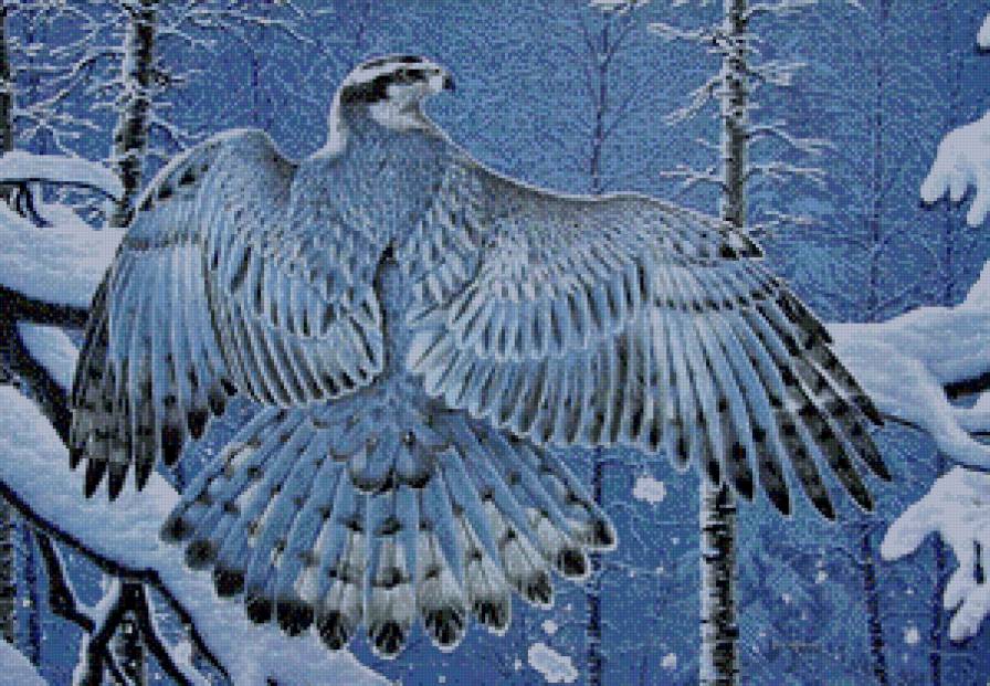 пернатый красавец - птица, крылья, ястреб, лес, зима.ночь, живопись, хищник, природа - предпросмотр