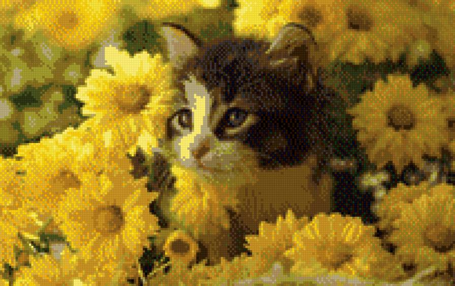 киска  в жёлтых цветах - животные, кошки - предпросмотр