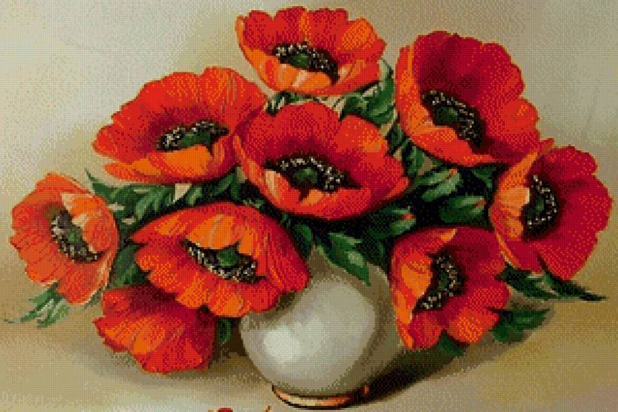 маки в вазе - цветы - предпросмотр