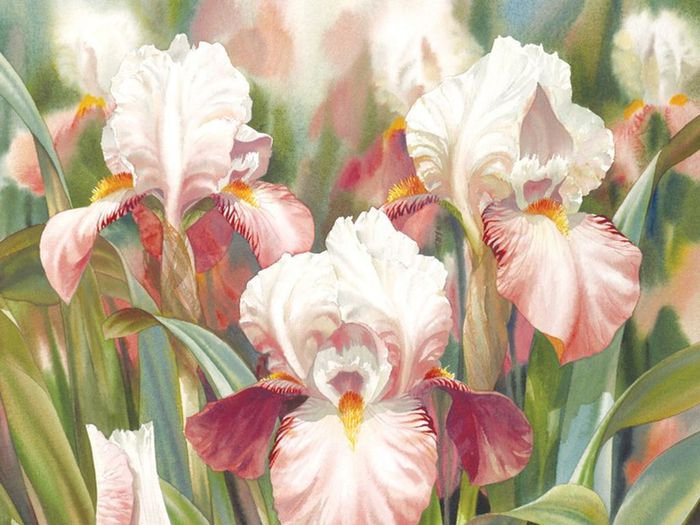 ирисы - оригинал
