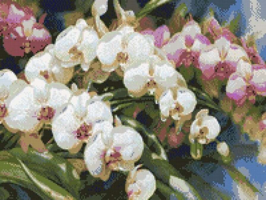 орхидеи - предпросмотр