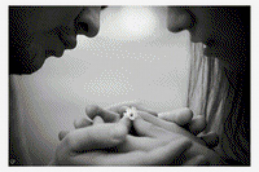 Любовь - нежность, монохромная вышивка, черно-белая - предпросмотр