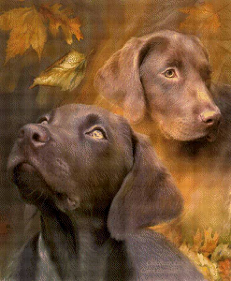 Милашки - осень, собаки, животные - предпросмотр