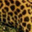 Предпросмотр схемы вышивки «Леопард» (№474844)