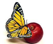 бабочка на яблоке