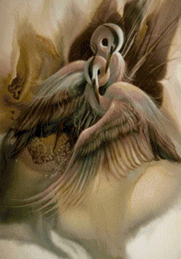 аисты - птицы - предпросмотр