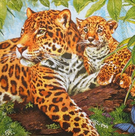 леопарды - животные, котенок, леопард, дикие кошки, коты - оригинал