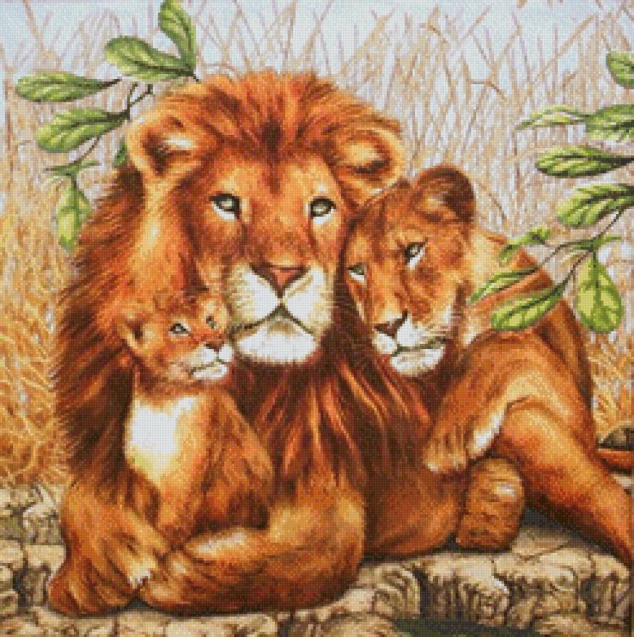 семья львов - львы, коты, прайд, дикие кошки, львенок, животные - предпросмотр