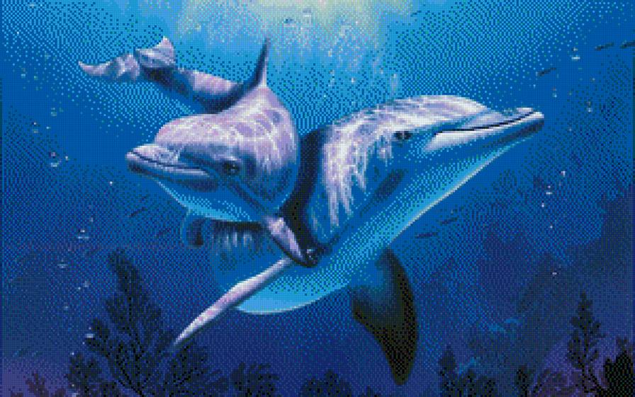 Пара дельфинов - море - предпросмотр