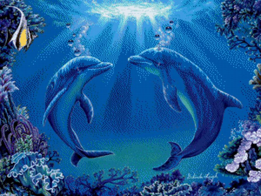 Дельфины - море - предпросмотр