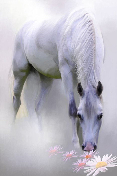 в тумане - животное, цаеты, лошадь - оригинал