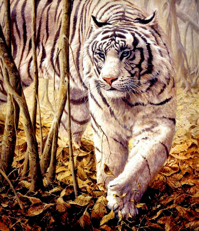 белый тигр - лес, живопись, осень, хищник, листья - оригинал