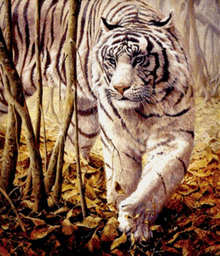 белый тигр - осень, лес, живопись, хищник, листья - предпросмотр