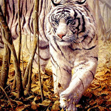 Оригинал схемы вышивки «белый тигр» (№475354)