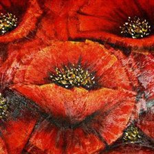 Подушка Королевские маки