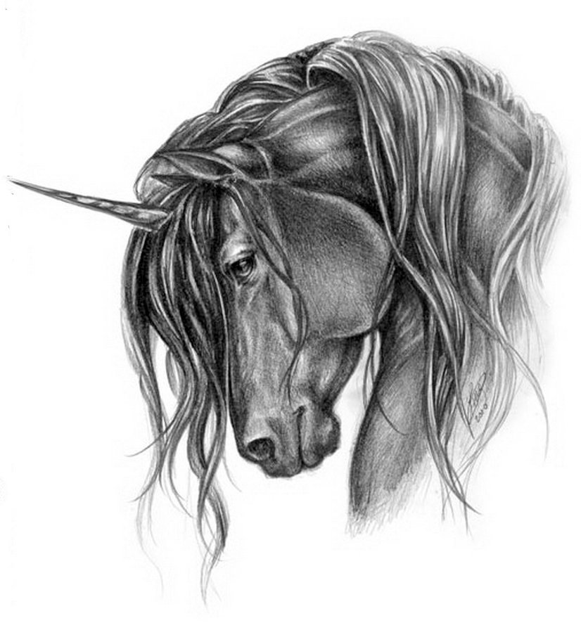 единорог - портрет, конь, рисунок, фэнтези - оригинал