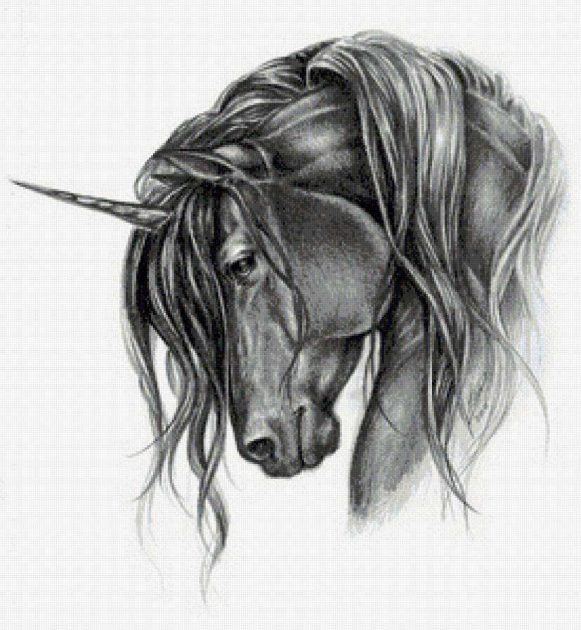 единорог - портрет, конь, рисунок, фэнтези - предпросмотр