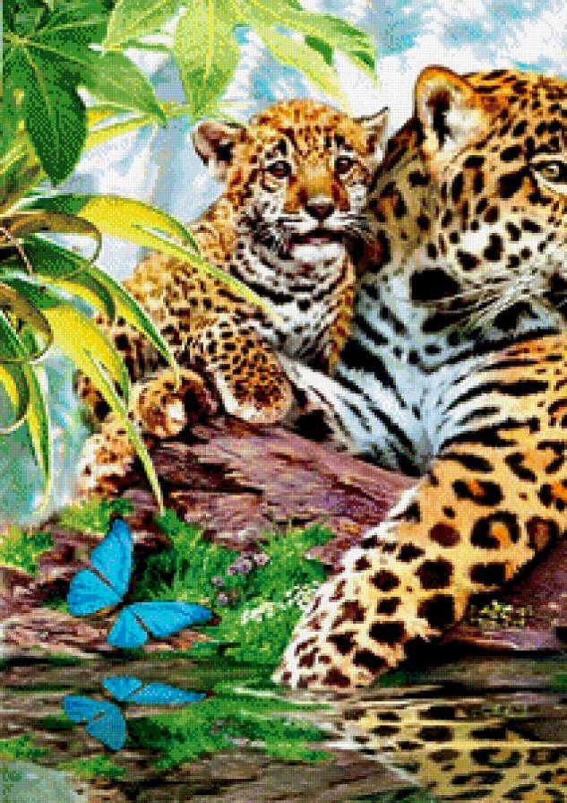 дикая семья часть 1 - природа, бабочка, живопись, вода, леопард, хищник, котенок - предпросмотр