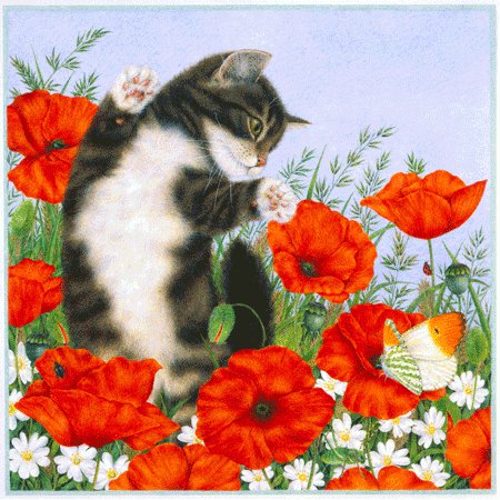 Серия "Кошки" - кошки, цветы, животные, маки - оригинал