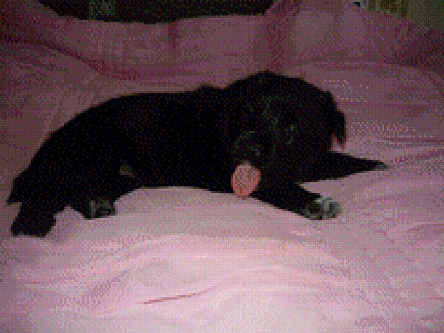 №475616 - предпросмотр