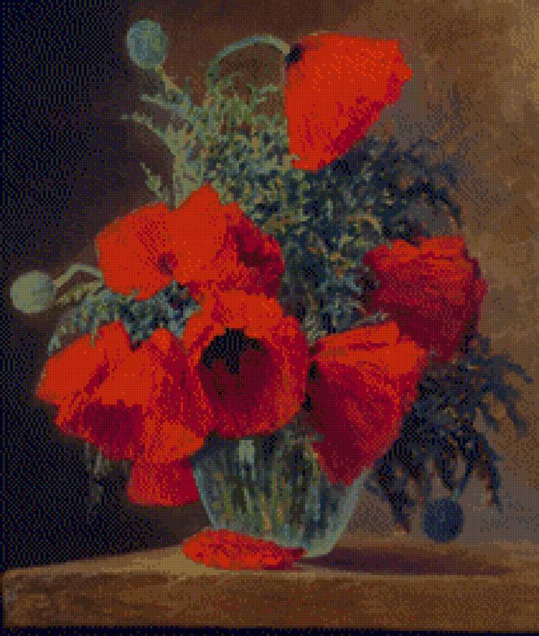 Маки - цветы - предпросмотр