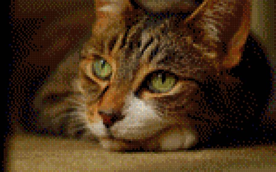 kotik - предпросмотр