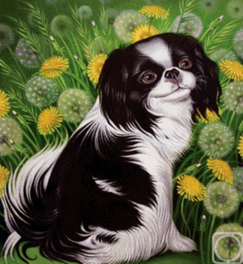 Любимец - одуванчики, цветы, собаки, животные - предпросмотр