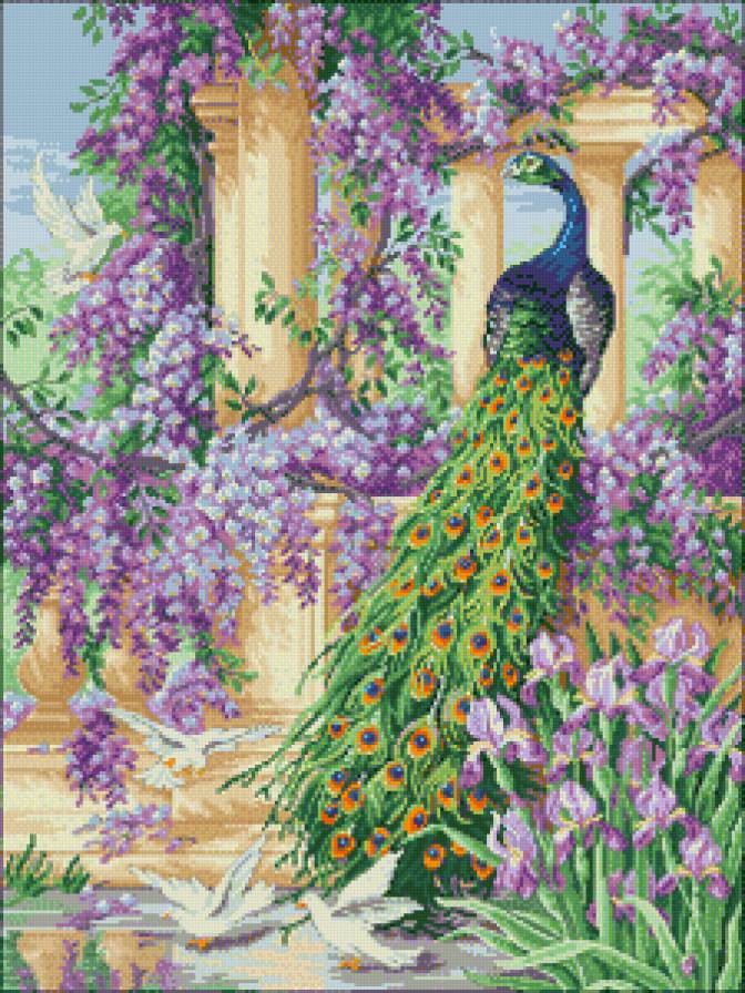 павлин - павлин, сад, цветы, арка, птицы - предпросмотр