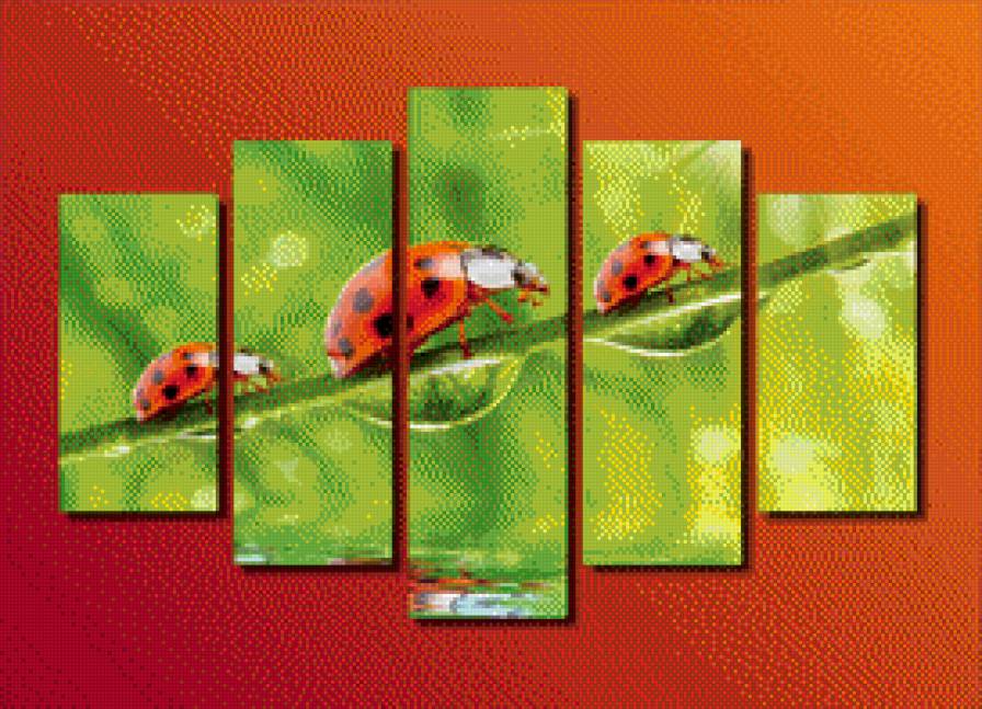 божьи коровки - предпросмотр