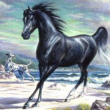 Схема вышивки «№1»