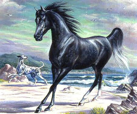 №1,1 - оригинал