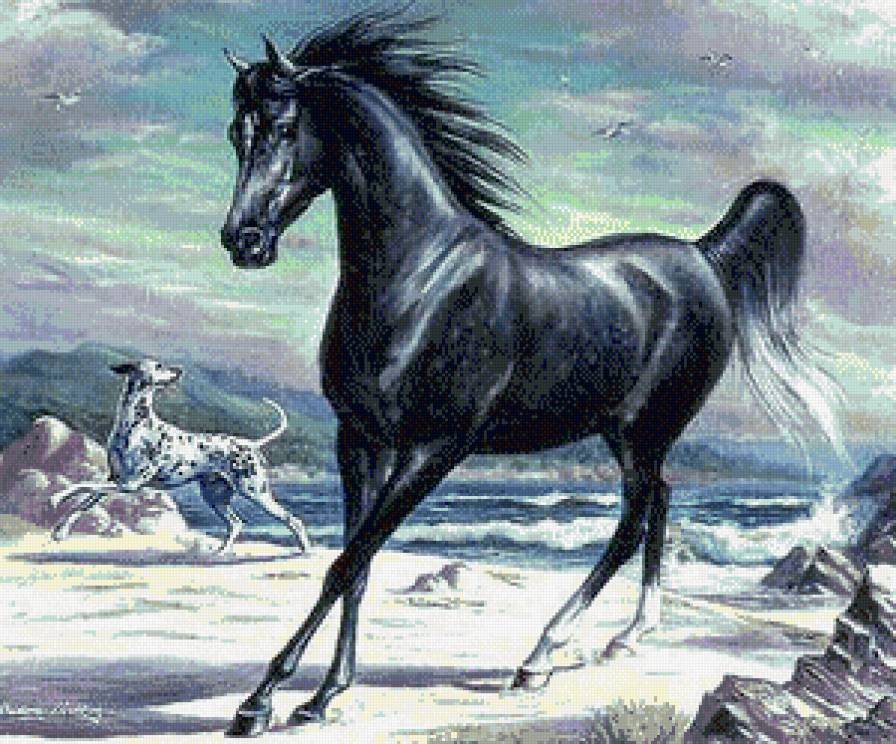 №1,1 - предпросмотр