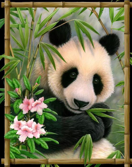 панда - животные, природа, бамбук, медведь, панда, цветы - оригинал