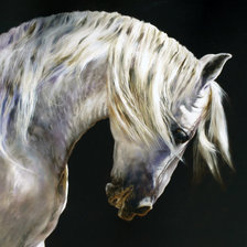 Схема вышивки «конь»